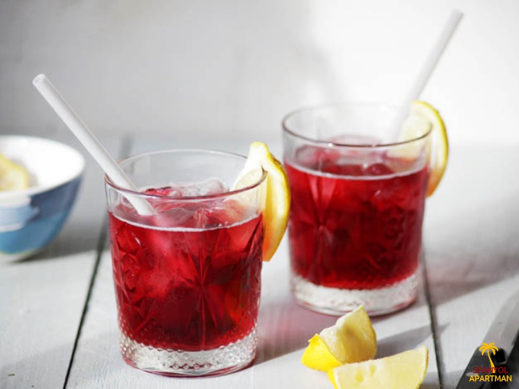 Tinto de Verano, a vörösbor alapú koktél